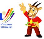 Sea Games là gì? Một số thông tin thú vị về Đại hội Thể thao Đông Nam Á