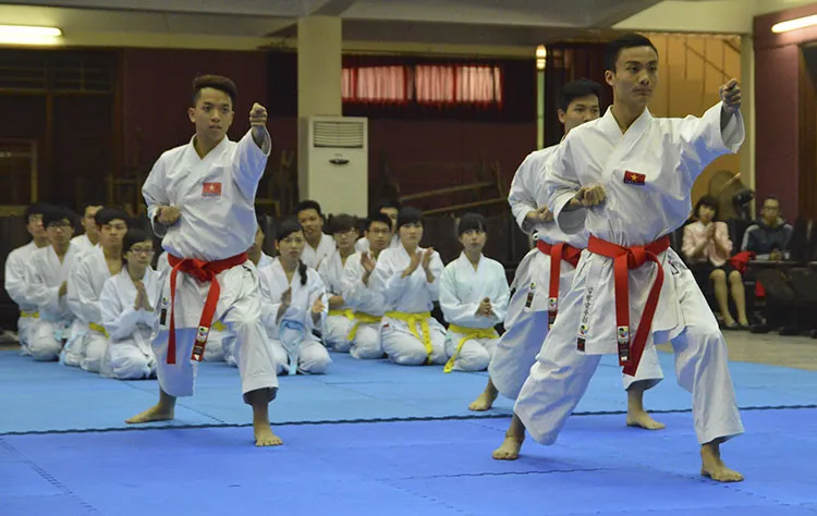 Karate có bao nhiêu bài quyền?
