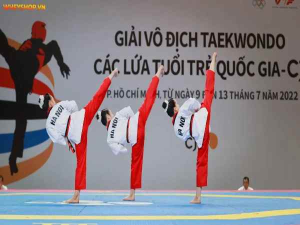 võ taekwondo là gì